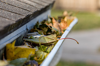 Nettoyage corniches et gouttières